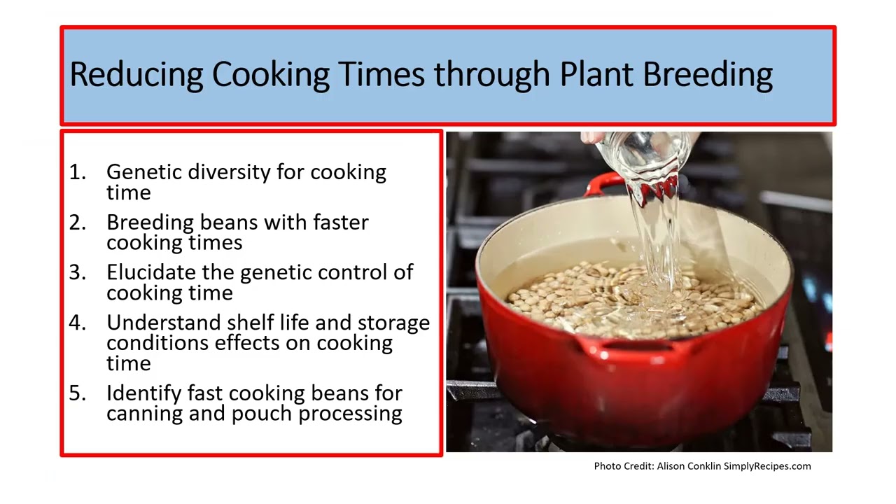 Is convenience at odds with health? Whole beans vs bean flours [Karen Cichy, ILS4 keynote]