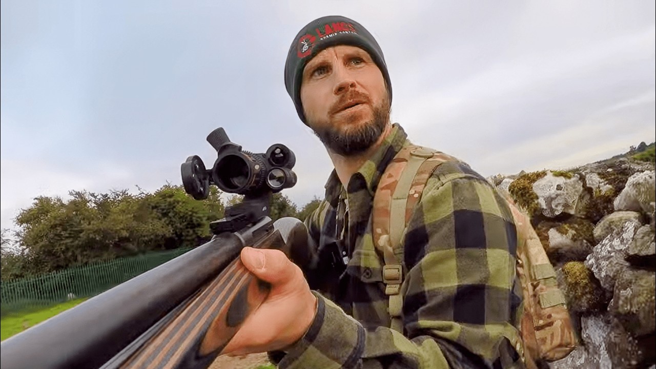 Rabbit Hunting With A Rimfire - Too Many Rabbits?