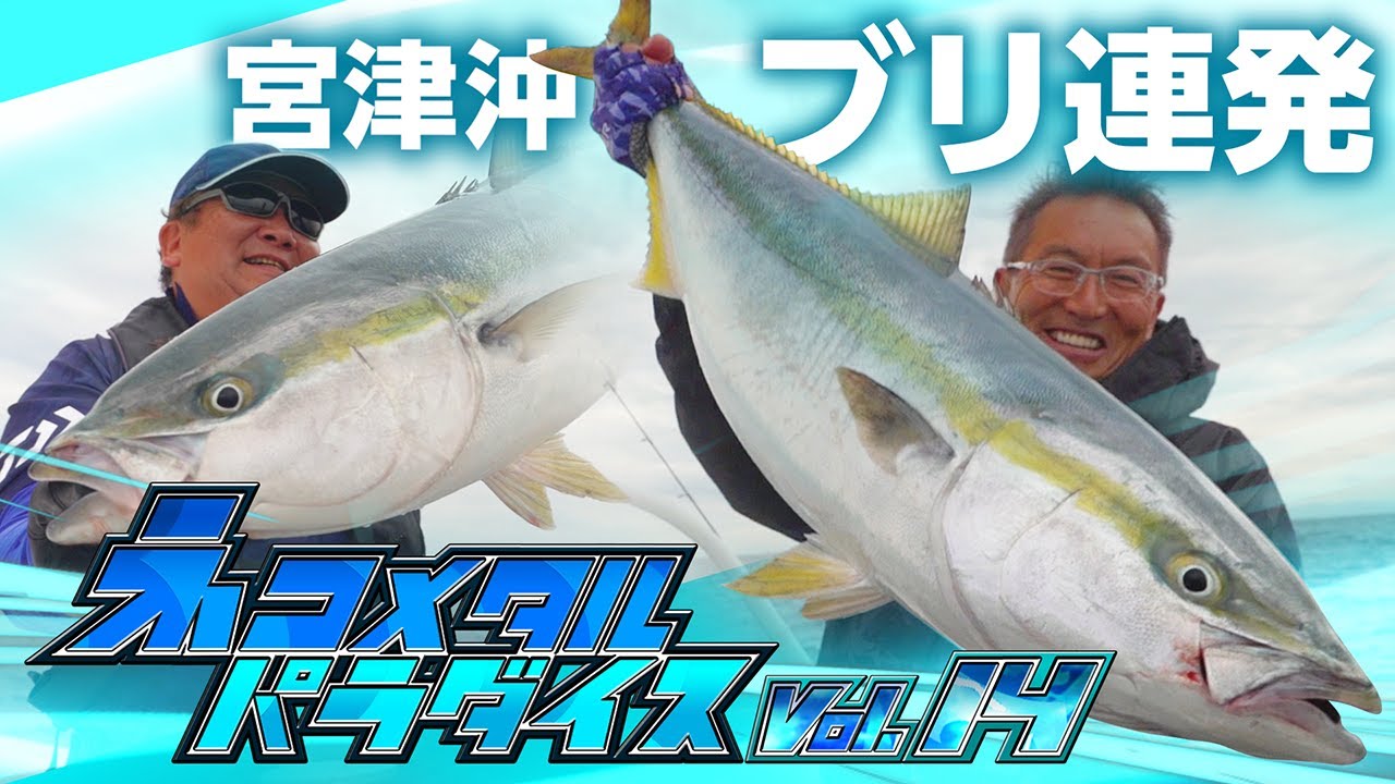 【村上的 ネコメタル パラダイス vol.14】ネコメタル最高！宮津沖でブリ連発！【SLJ】
