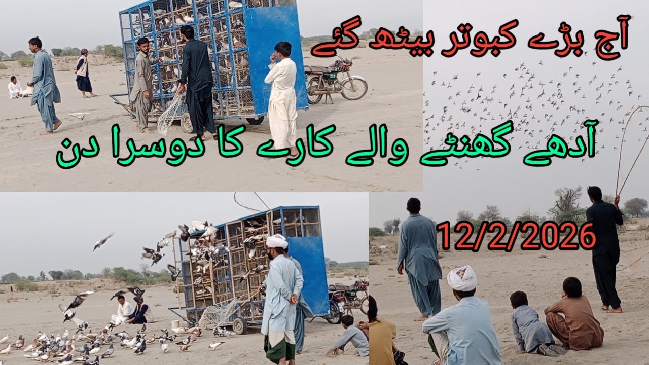 دوستوں آج آدھے گھنٹے والے کارے کا دوسرا دن آج  بڑے کبوتر بیٹھ گئے صدام کورچانی بمقابلہ سلمان دستی 