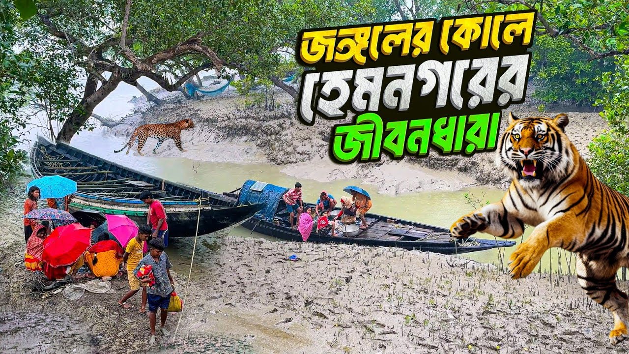 বাঘের জঙ্গলের পাশে হেমনগরের সংগ্রাম | My 1-Day Journey into Sundarban's Wilderness