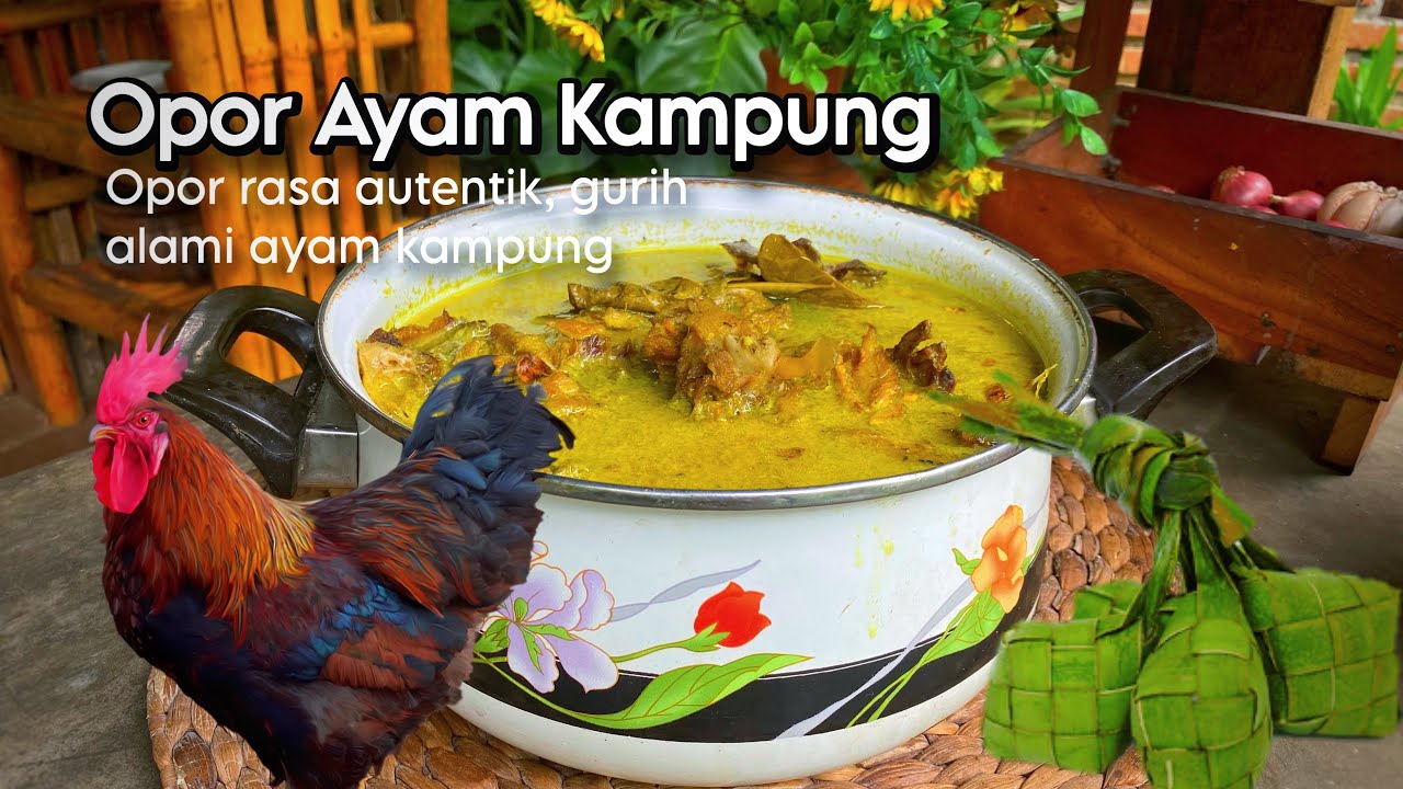 Opor ayam kampung | Hidup di Desa resep masakan