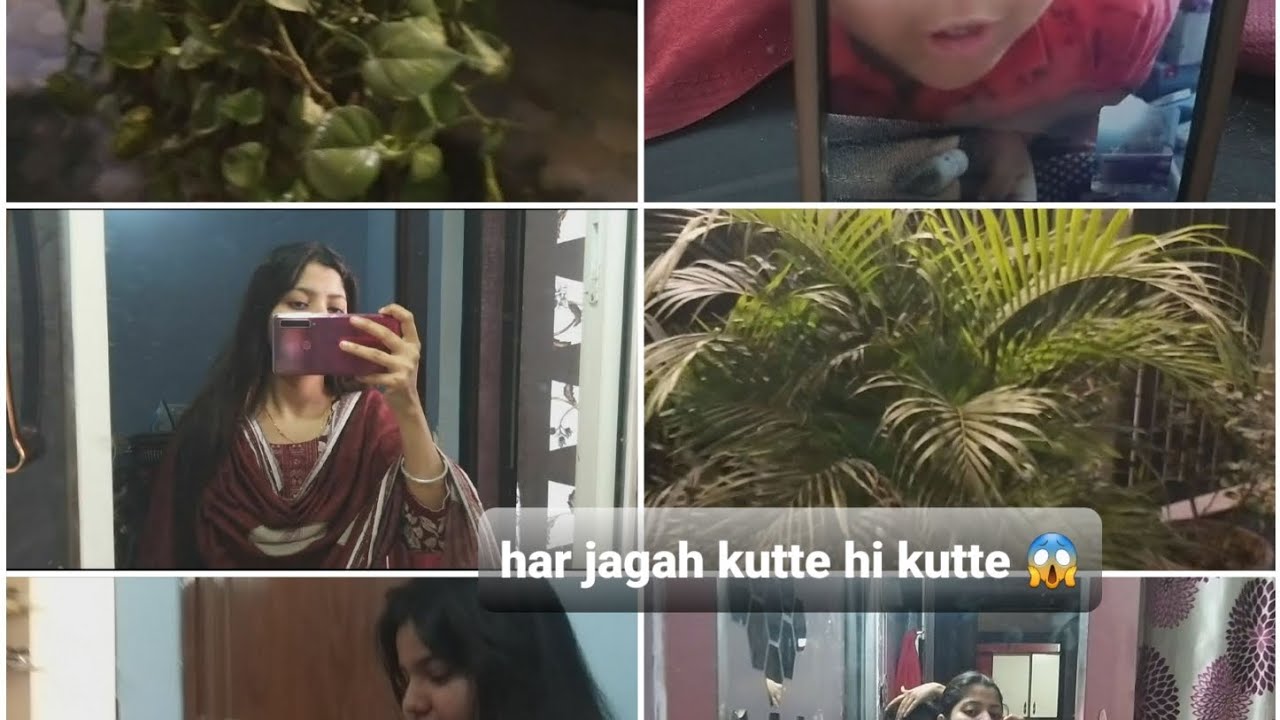 Episode No.4 Kutte ke kaatne se bach kr aayi hoon 😱 #vlog #lifestyle #dailyvlog #viral #dailylife 