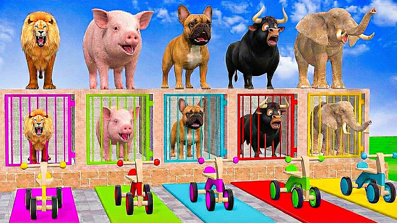Long Slide Game With Elephant Gorilla Buffalo Hippopotamus Tiger - 3d Animal Game - Funny 3d Animals