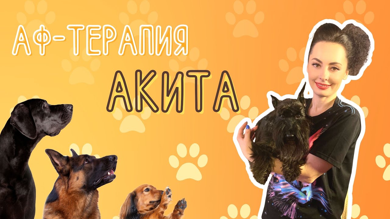 Рубрика 