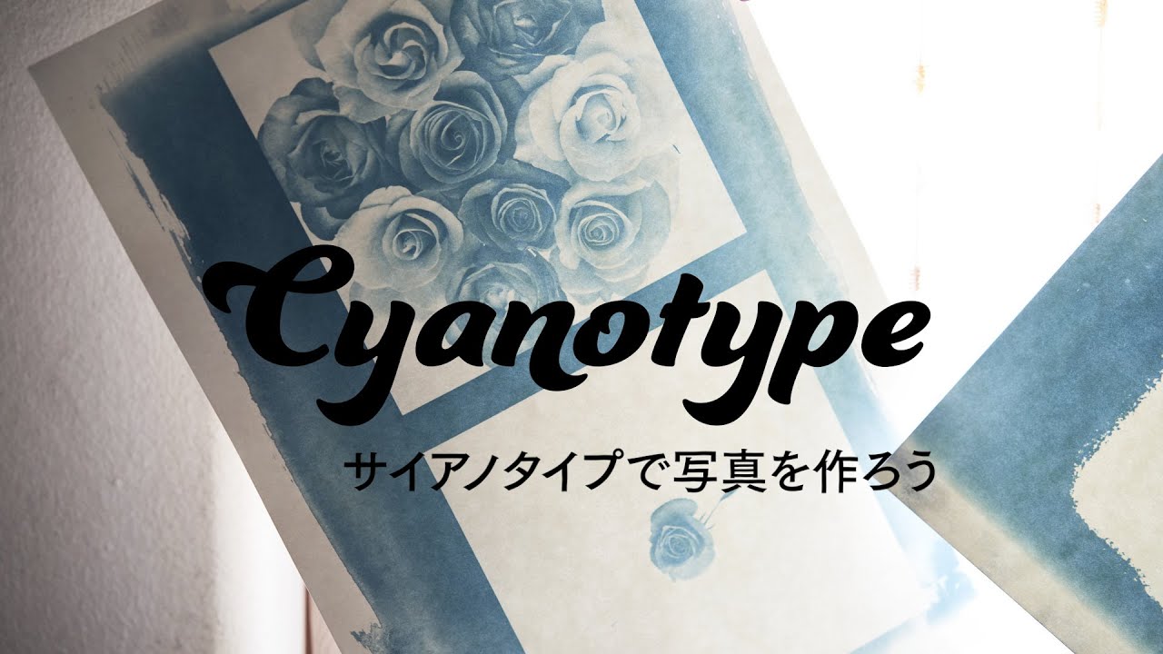 Cyanotype（サイアノタイプ）で青写真を作る