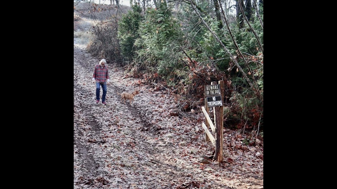 “Wasn’t Born to Follow” (The Byrds) cover by Dave Neves