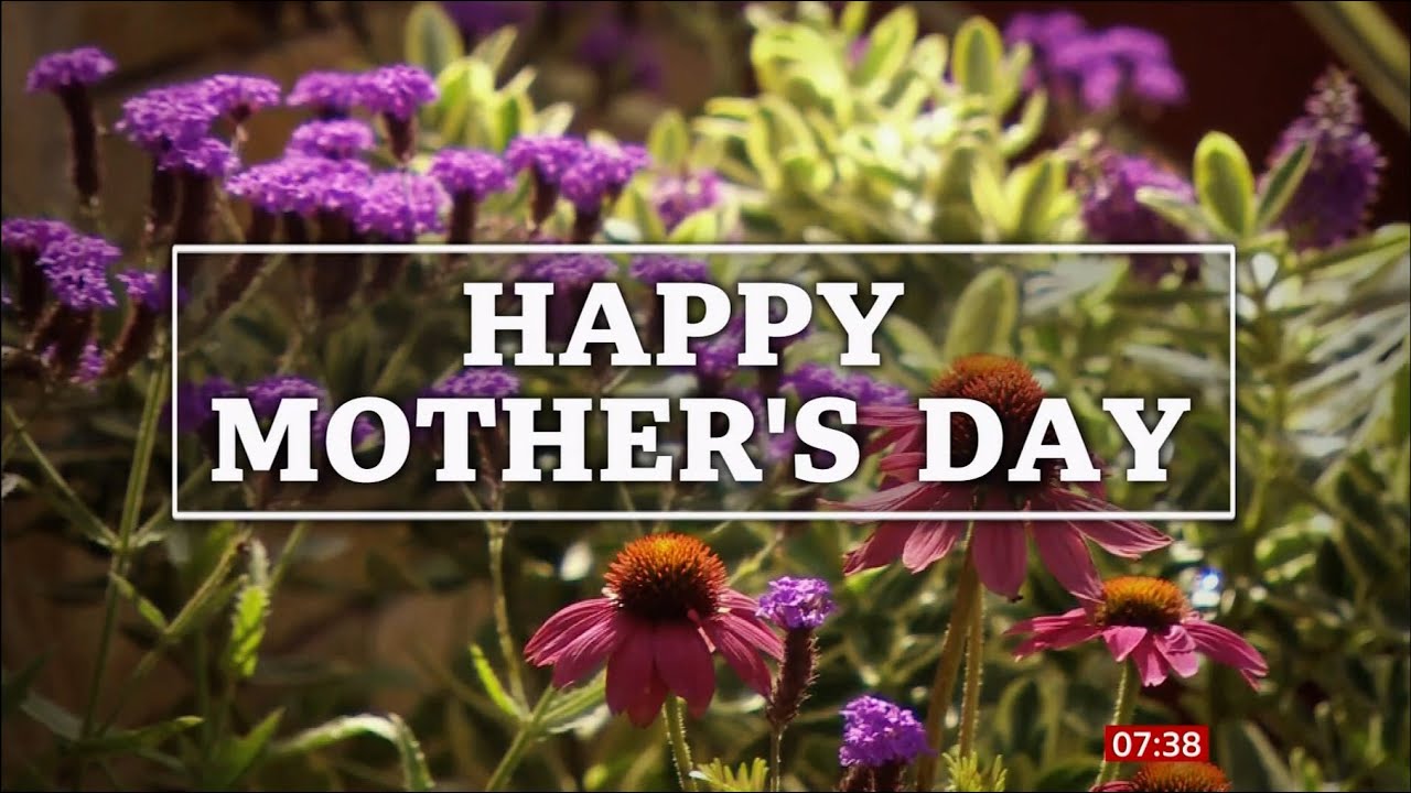 Coronavirus (Covid-19) Measures and Mother's Day (UK) - BBC News - 22nd March 2020