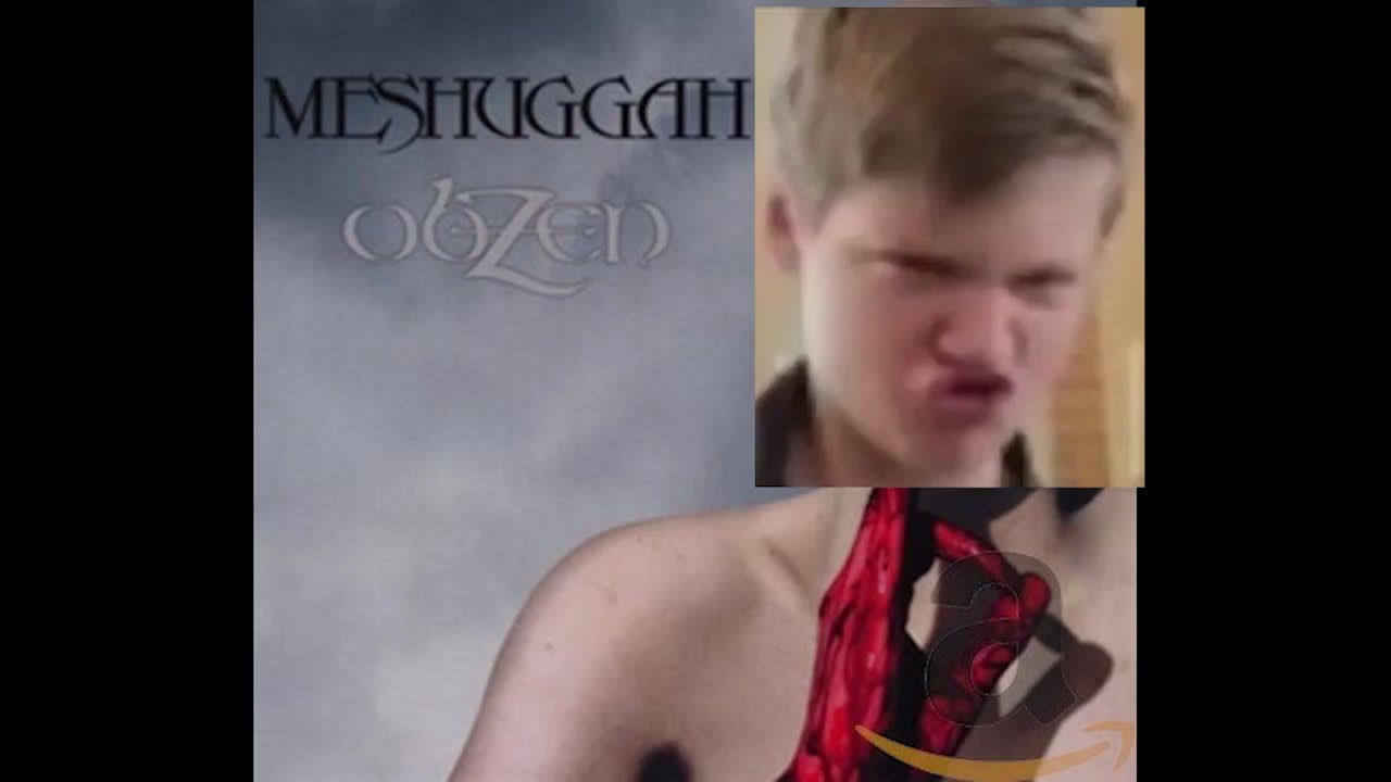 bleed by meshuggah but its played on the highest note (meme)