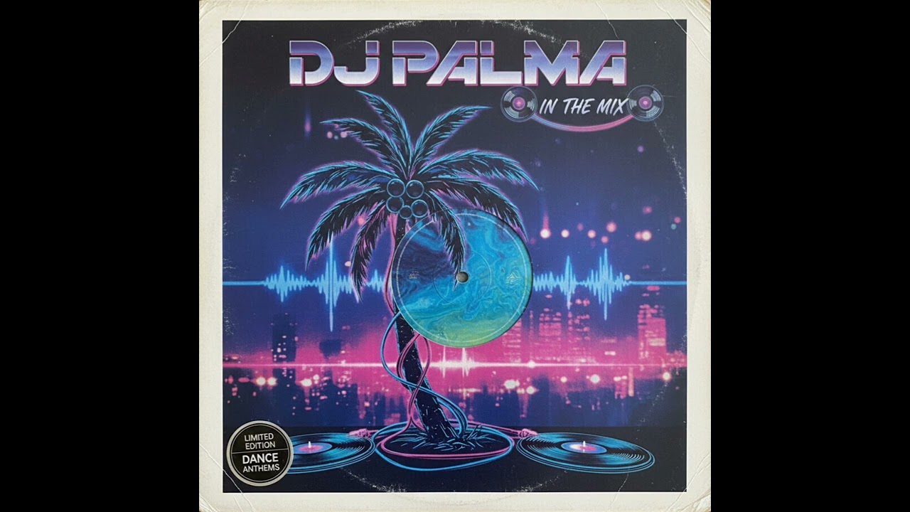 DJ PALMA - IN THE MIX 12