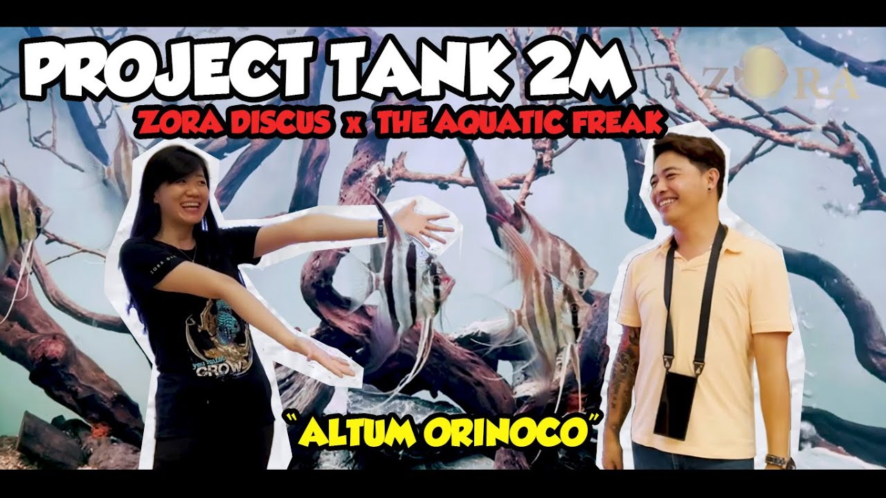 900L BEAUTIFUL ALTUM ORINOCO DECORATIVE TANK - ZORA DISCUS X THE AQUATIC FREAK