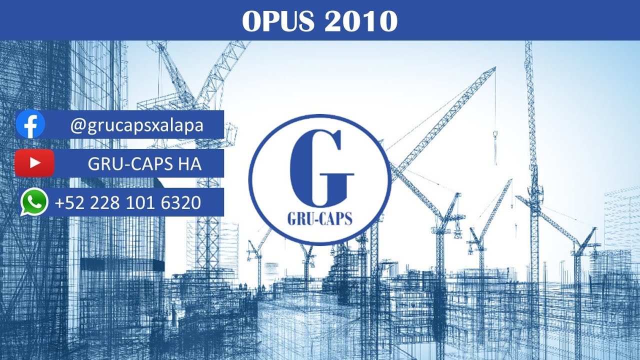 OPUS 2010 (PRINCIPIANTES)