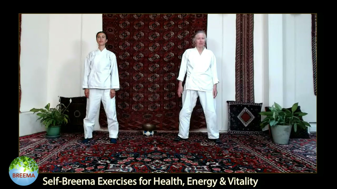 Self Breema Exercises for Health, Energy & Vitality