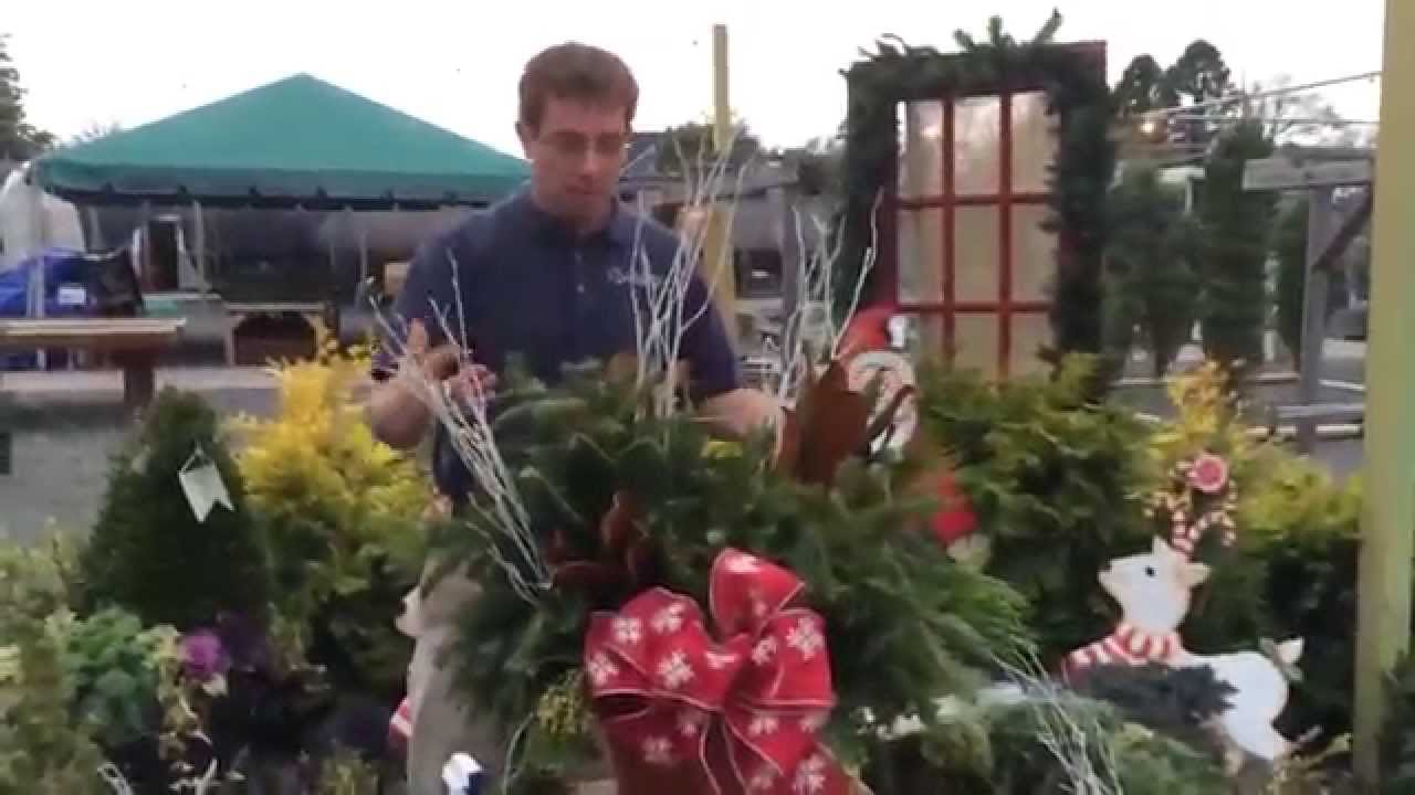 Barlow's TV [Episode 31] Decorating your containers with Fresh Cut Greens