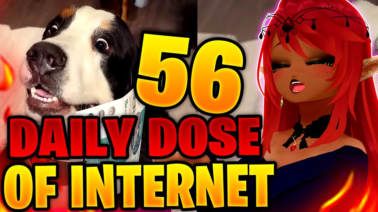 WHAT THE DOG DOIN'?! | Daily Dose of Internet Reaction