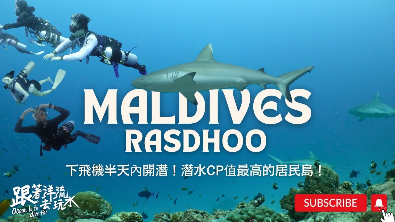 下飛機半天內開潛！馬爾地夫潛水CP值最高的居民島Rasdhoo | 能見度很差因為魚太多了 | Maldives Diving Trip