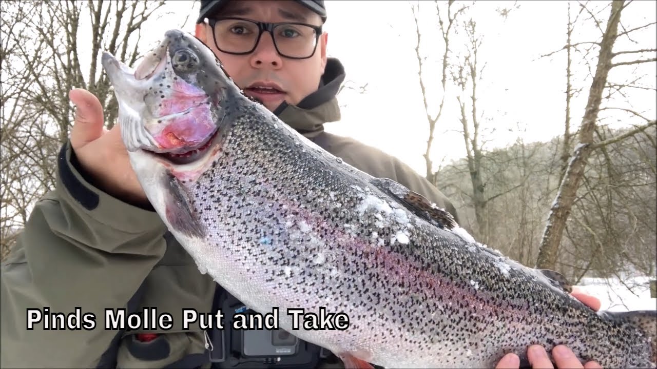 Pinds Mølle Put and Take - Fisketur i flot snelandskab