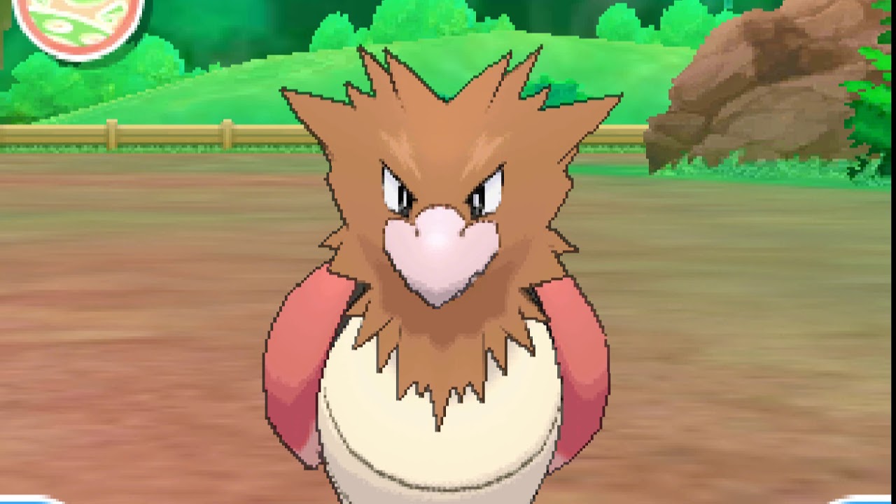 ポケリフレ　オニスズメと戯れるだけの動画