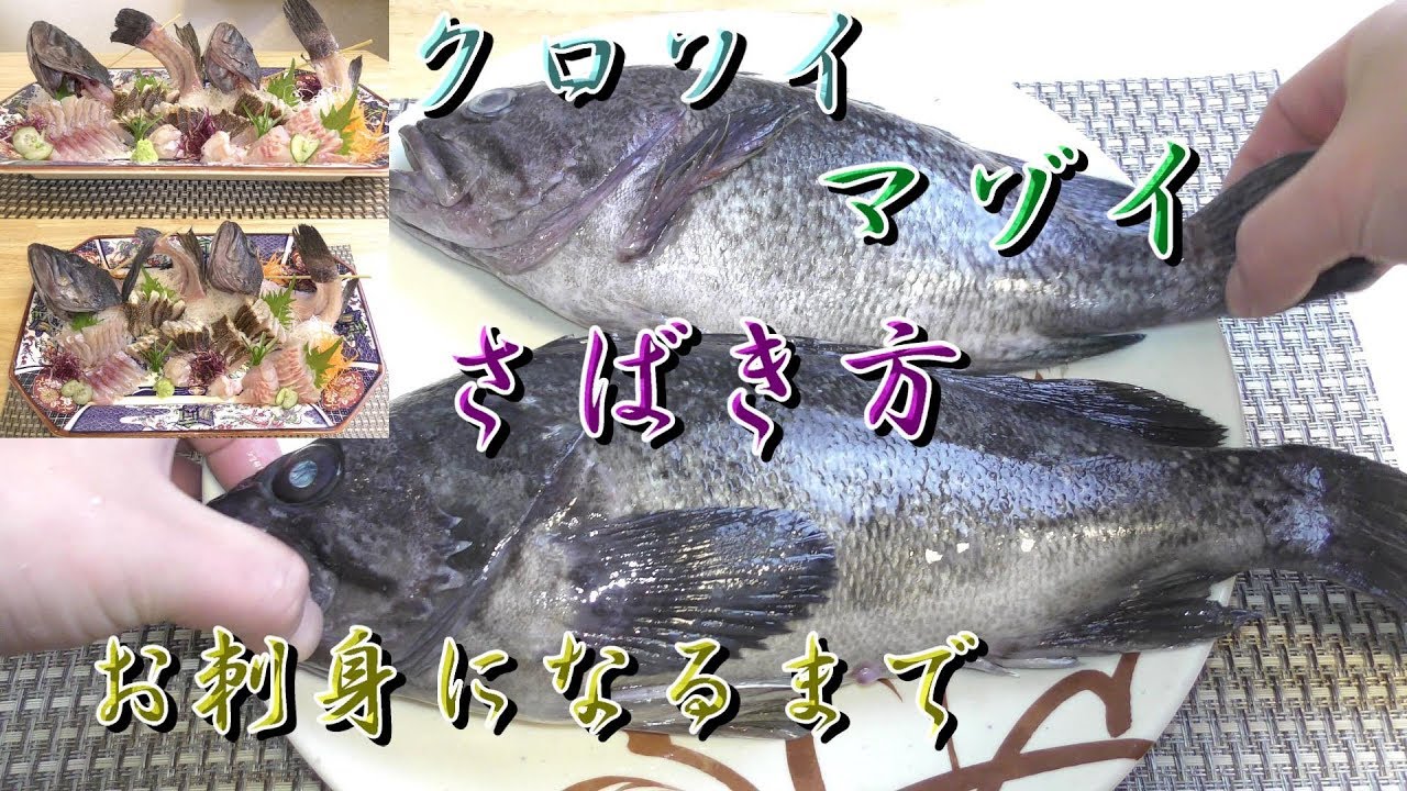 ２種の似ている魚！曹以【クロソイ】【マゾイ】の見分け方さばき方～刺身になるまで　姿刺身盛り合わせ