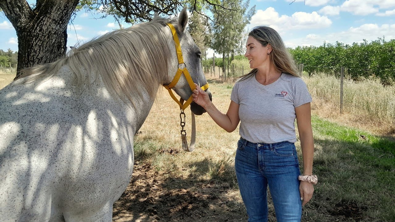 Empezó con 2 CABALLOS DONADOS y hoy tiene uno de los lugares MÁS VALIOSOS y necesarios del País
