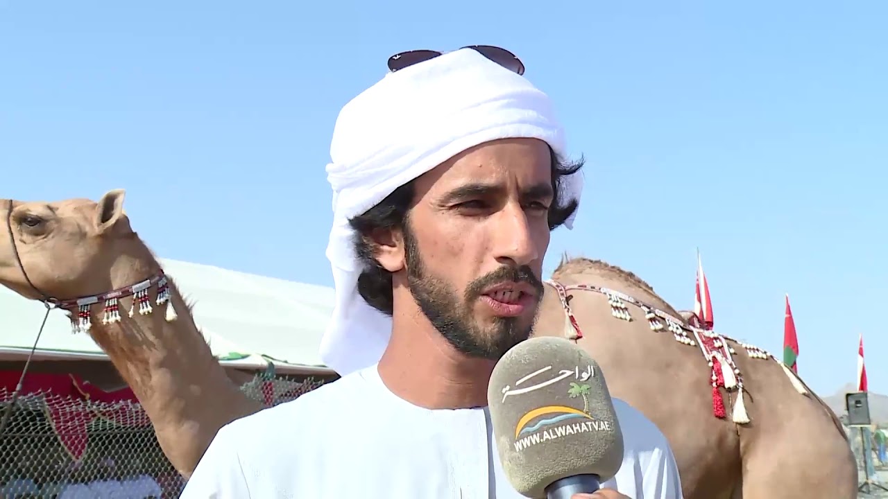 قناة الواحة تقدم مهرجان ينفل الخامس لمزاينة الهجن ٢٠١٨ اليوم الثاني