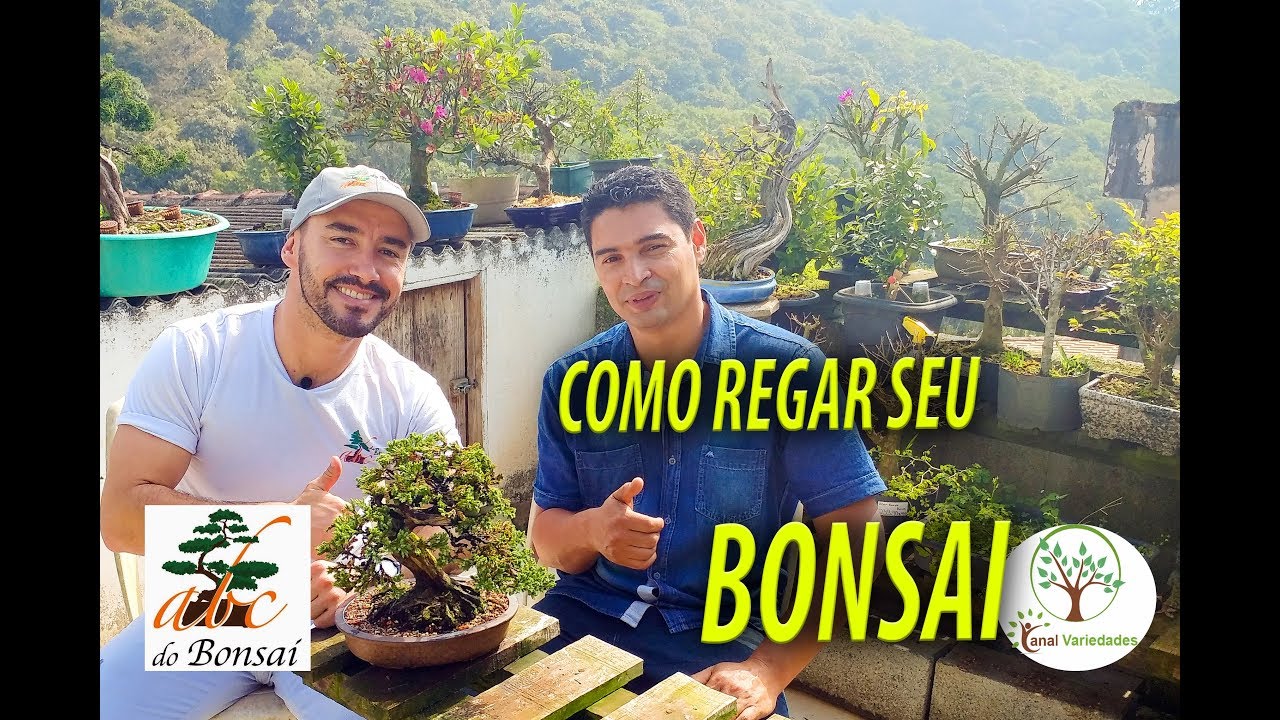 ABC do Bonsai, Como Regar suas Plantas com quem entende