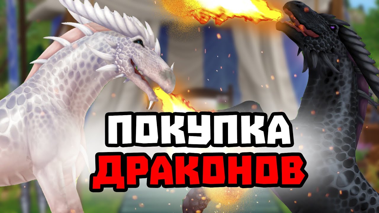 ПОКУПКА ДРАКОНОВ | ОНИ ДЫШАТ ОГНЕМ | Star Stable