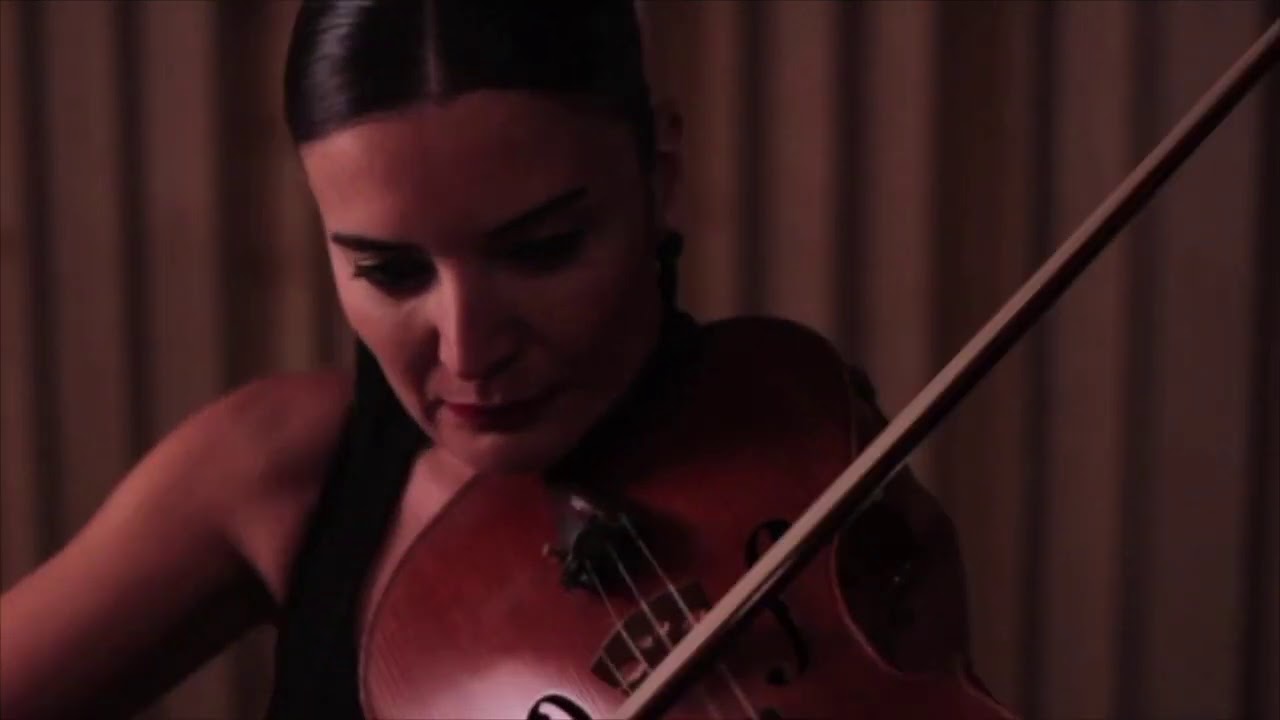 Jaime Reis - Fluxus, Transitional Flow (by Pinar Dinçer)