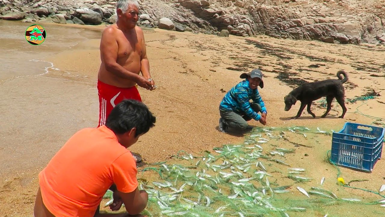 MIRA a estos PESCADORES como PESCAN MUCHOS PEJERREYES - Pesca de Pejerrey con Red