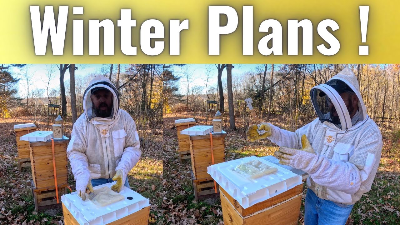 My Plan for Preparing the Hives for Winter ! !