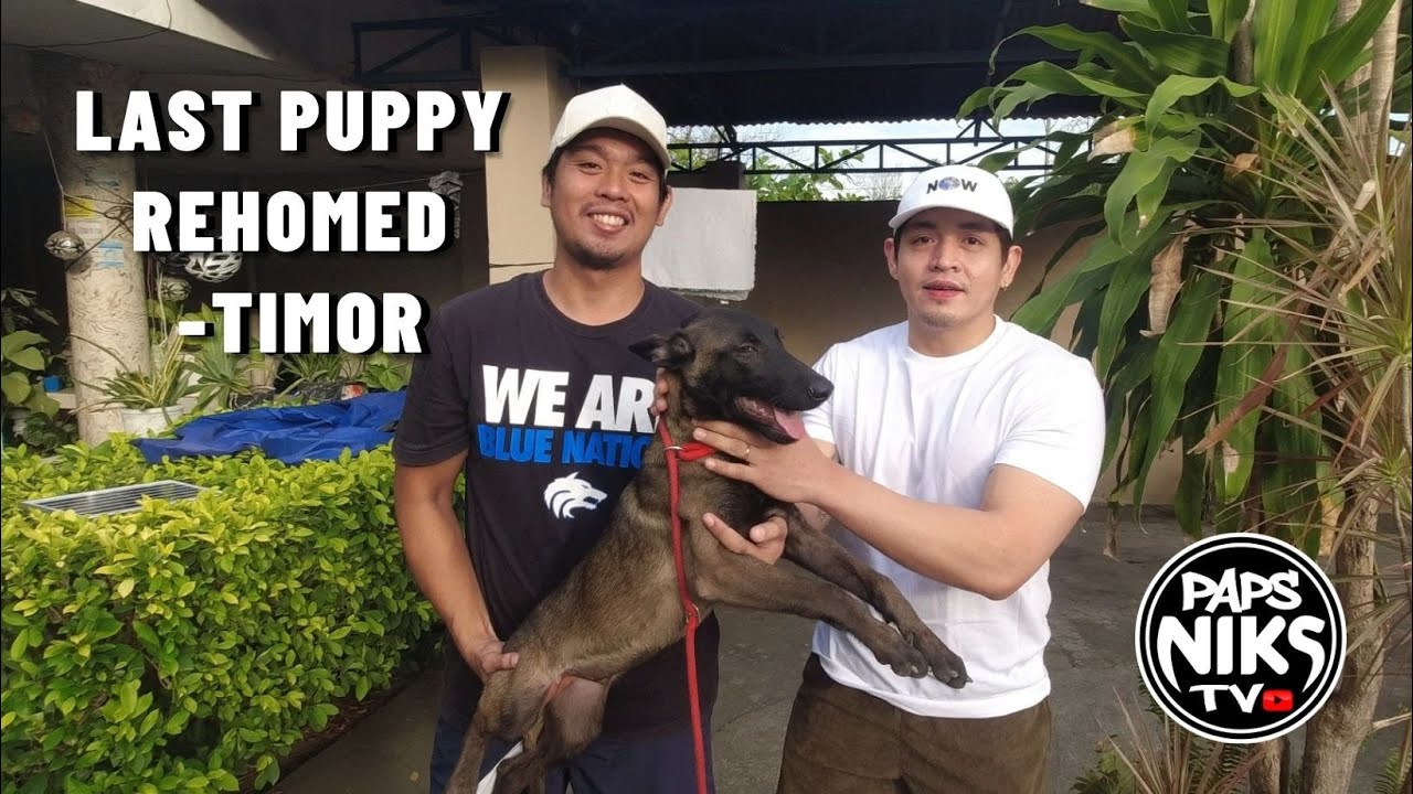 Vlog 147: 