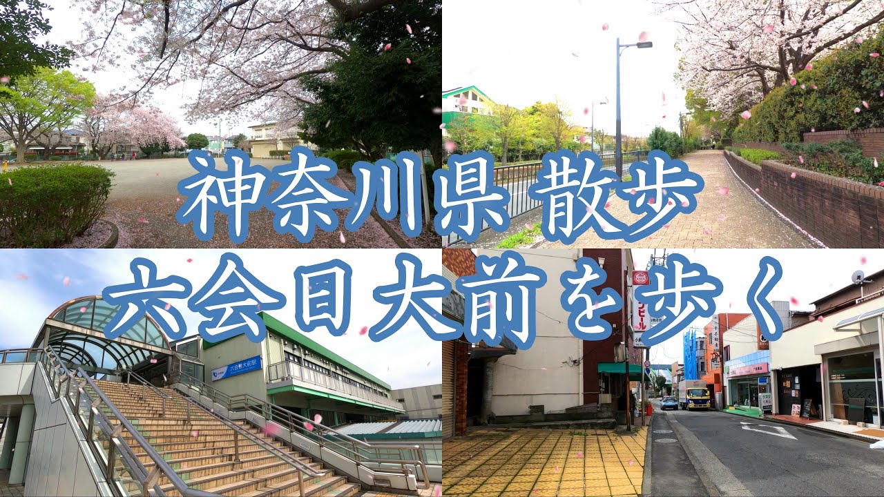 ( 4K ) 神奈川県 散歩 藤沢市 六会日大前を歩く  ( Walk Mutsuai nichidaimae )