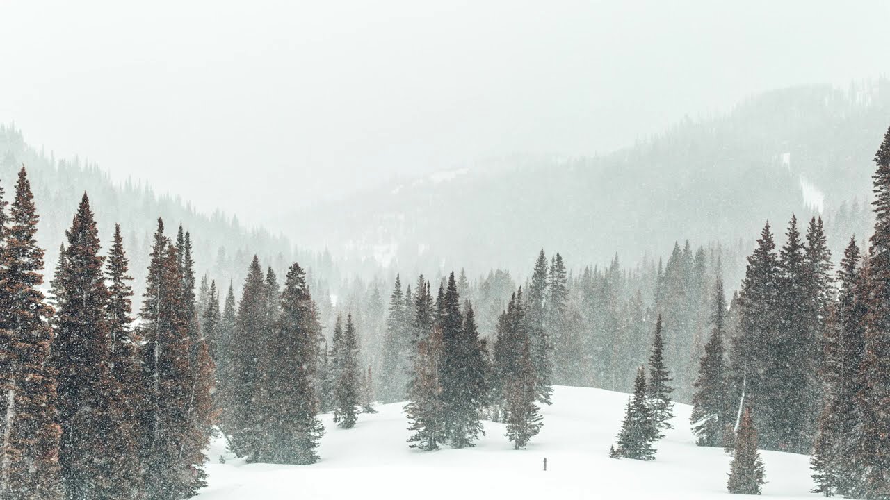 [𝙋𝙡𝙖𝙮𝙡𝙞𝙨𝙩] ❄흰눈 클래식 | 쇼팽, 리스트, 시벨리우스, 그리그