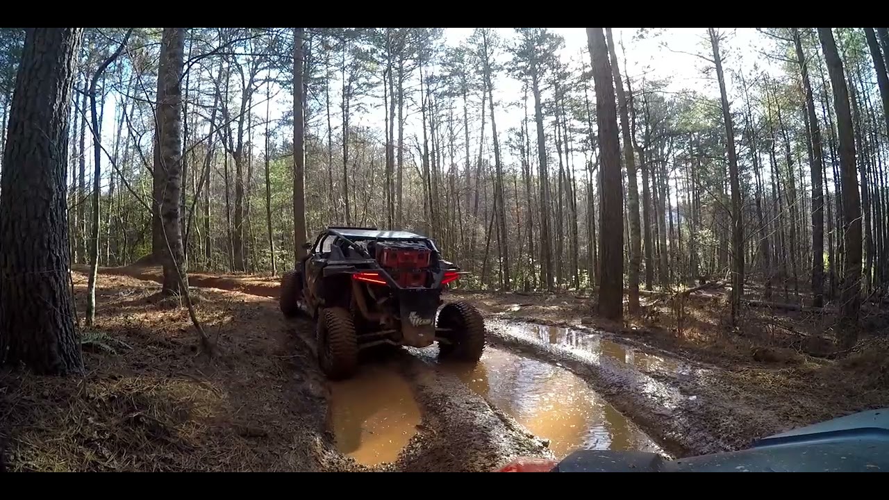 Iron Mountain-Mud and Trees