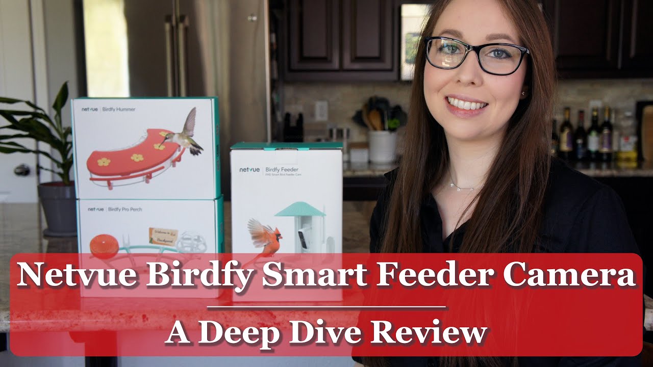 Netvue Birdfy Smart Feeder Cam: A Deep Dive Review