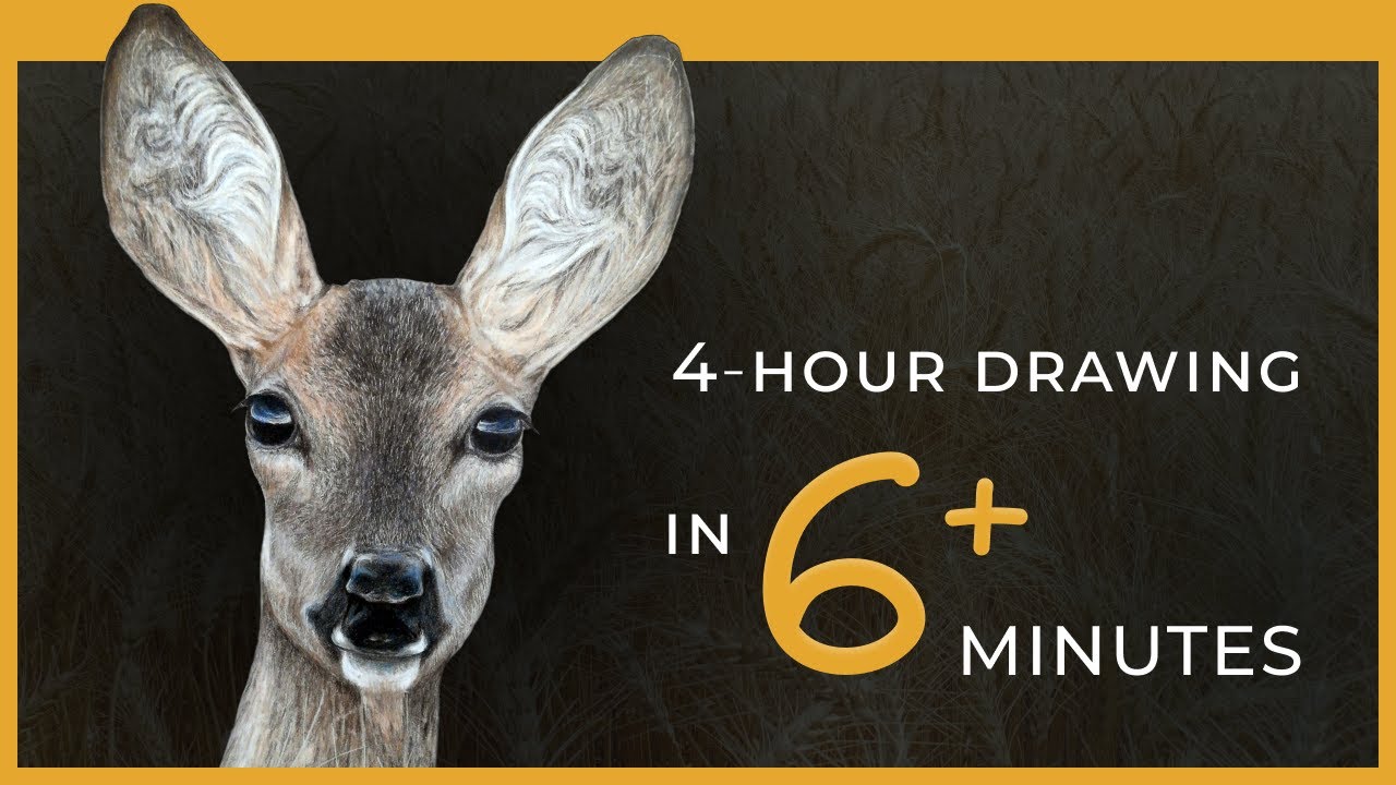 Roe Deer Time-Lapse Drawing in Colored Pencil