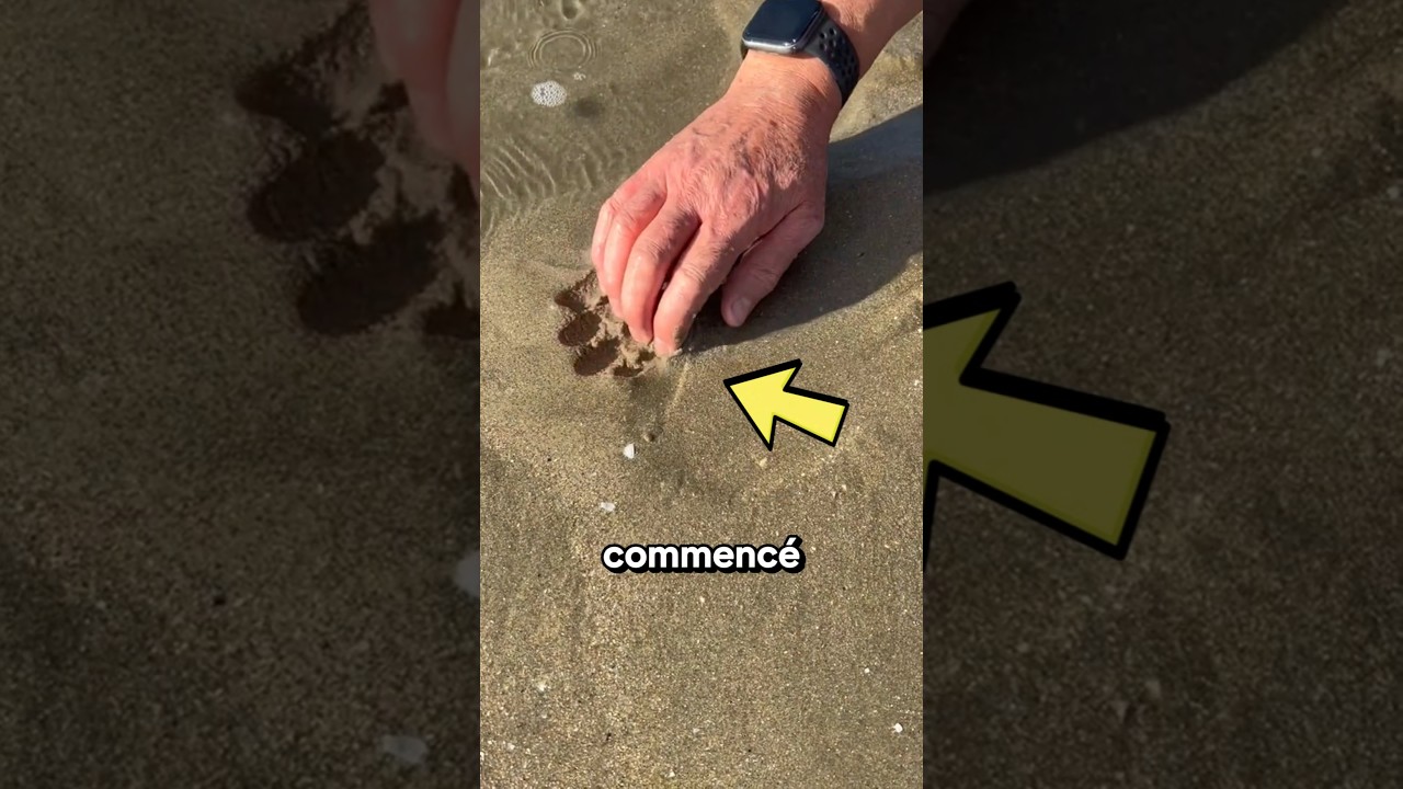 Il trouve un ANIMAL Rare sous le SABLE !😨🤔 