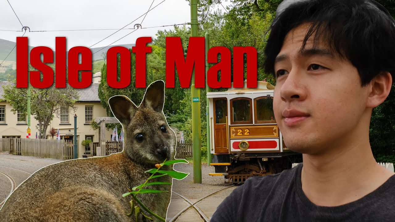 Searching for prized wallaby meat on the Isle of Man
