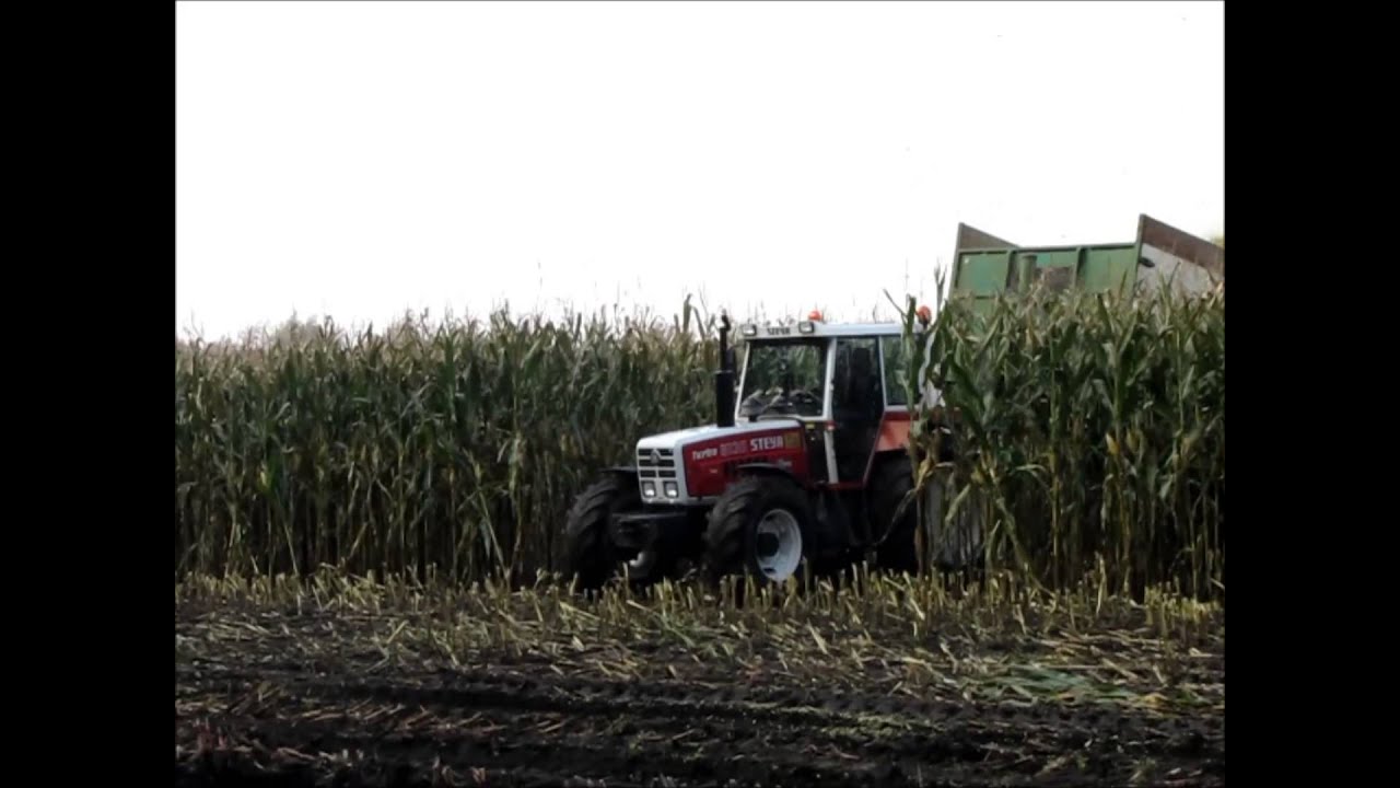 Mais hakselen met Steyr 8130 turbo