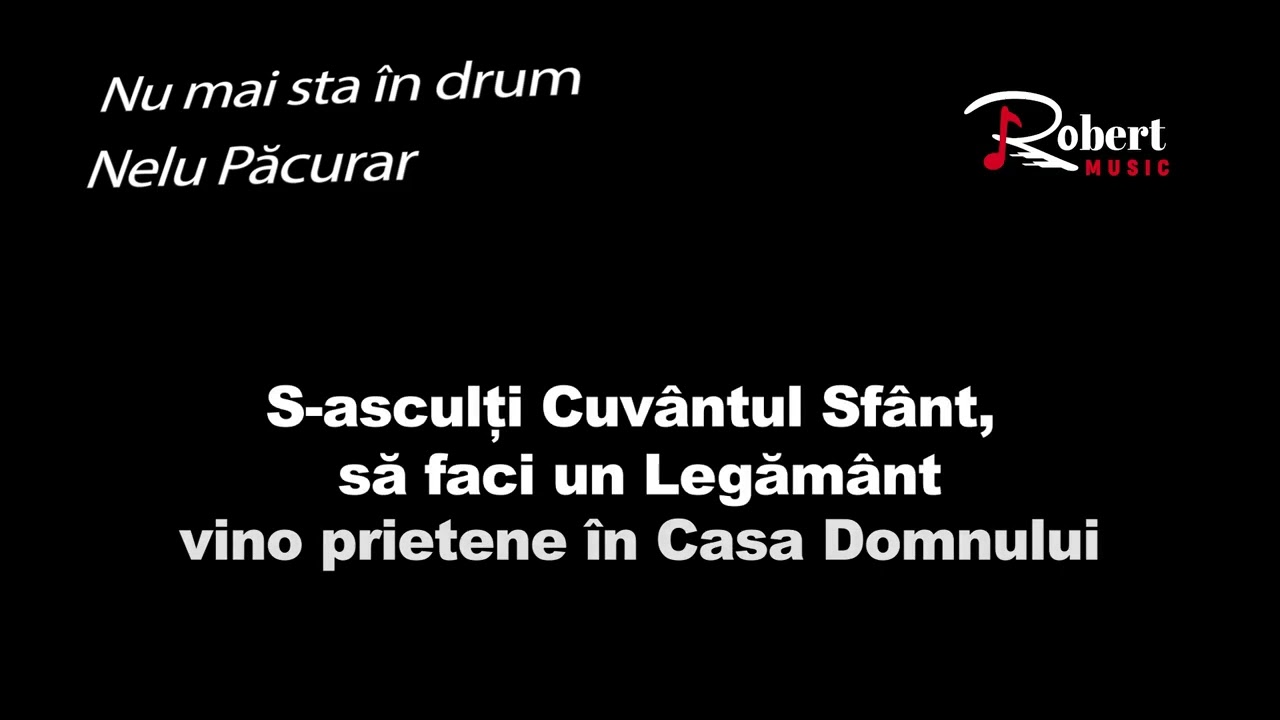 Nelu Pacurar ✘ Numai sta in drum