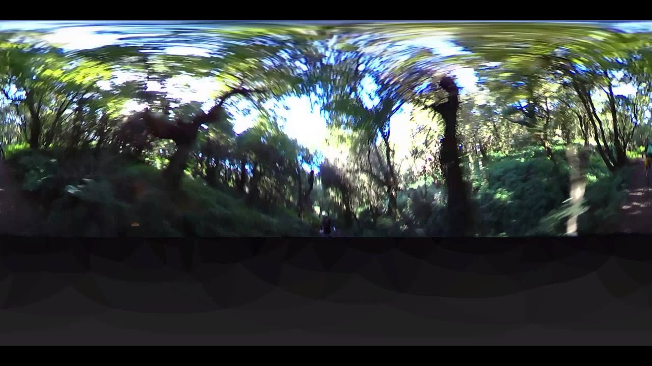 El Hierro Zauberwald 360&deg;