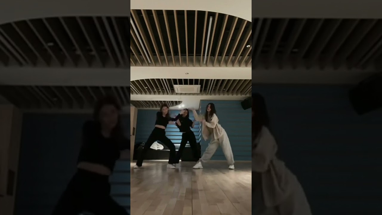 i love the way they dance. it's between pretty and sharp movements 