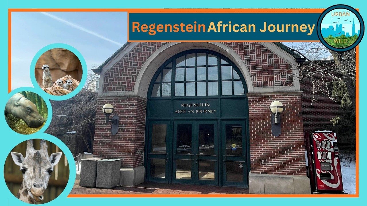 Regenstein African Journey walking tour