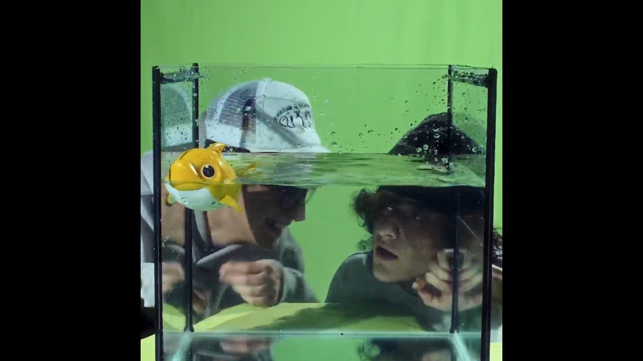 [FREE] Blagh x Agush x Saramalacara 