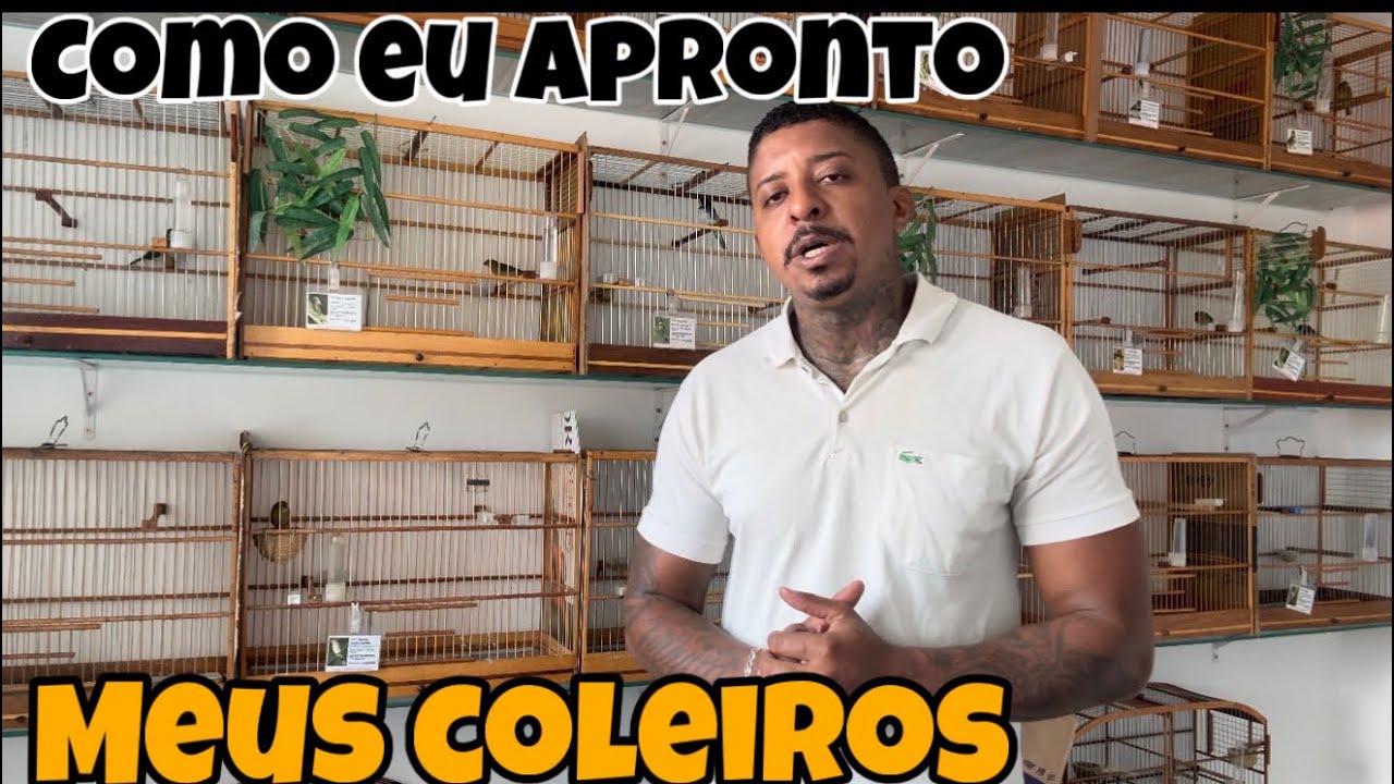 COMO EU APRONTO MEUS COLEIROS FRIOS EM APENAS 1 VÍDEO RÁPIDO FÁCIL E SIMPLES @manotom 
