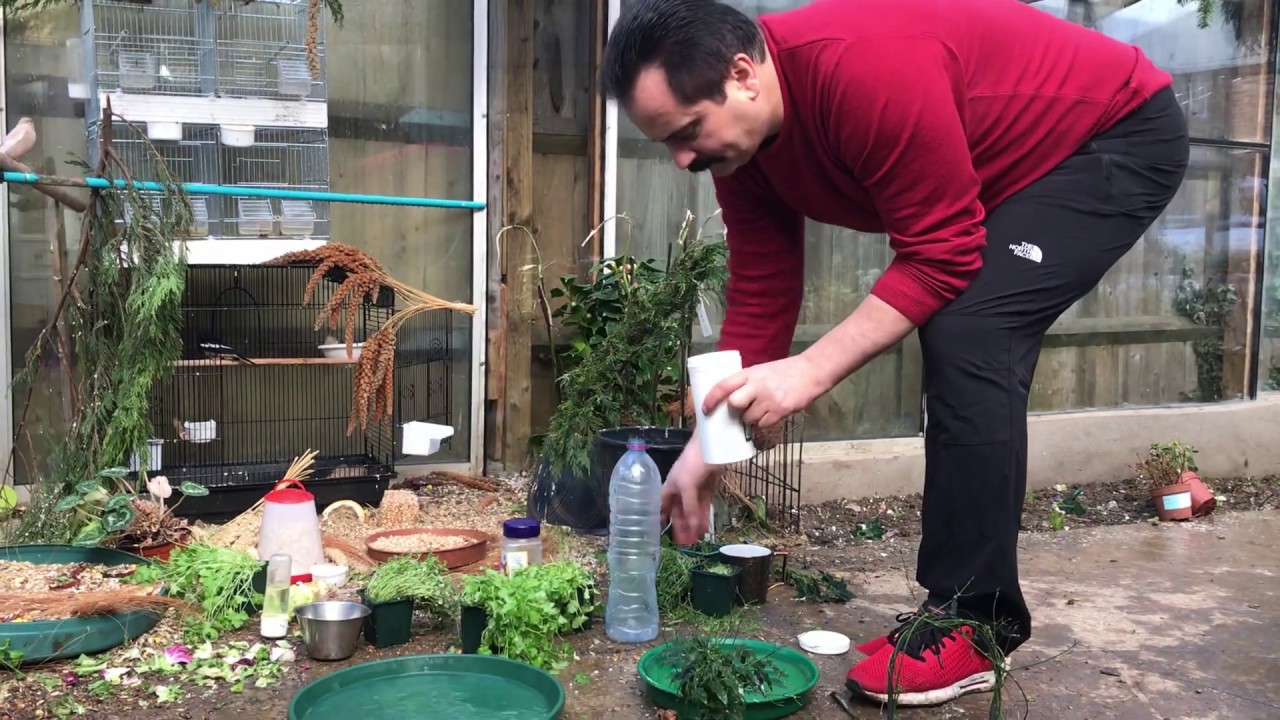 Türkiyenin en güzel kuş bahçesi