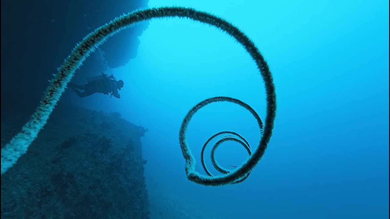 Vashafarudive&water sports 