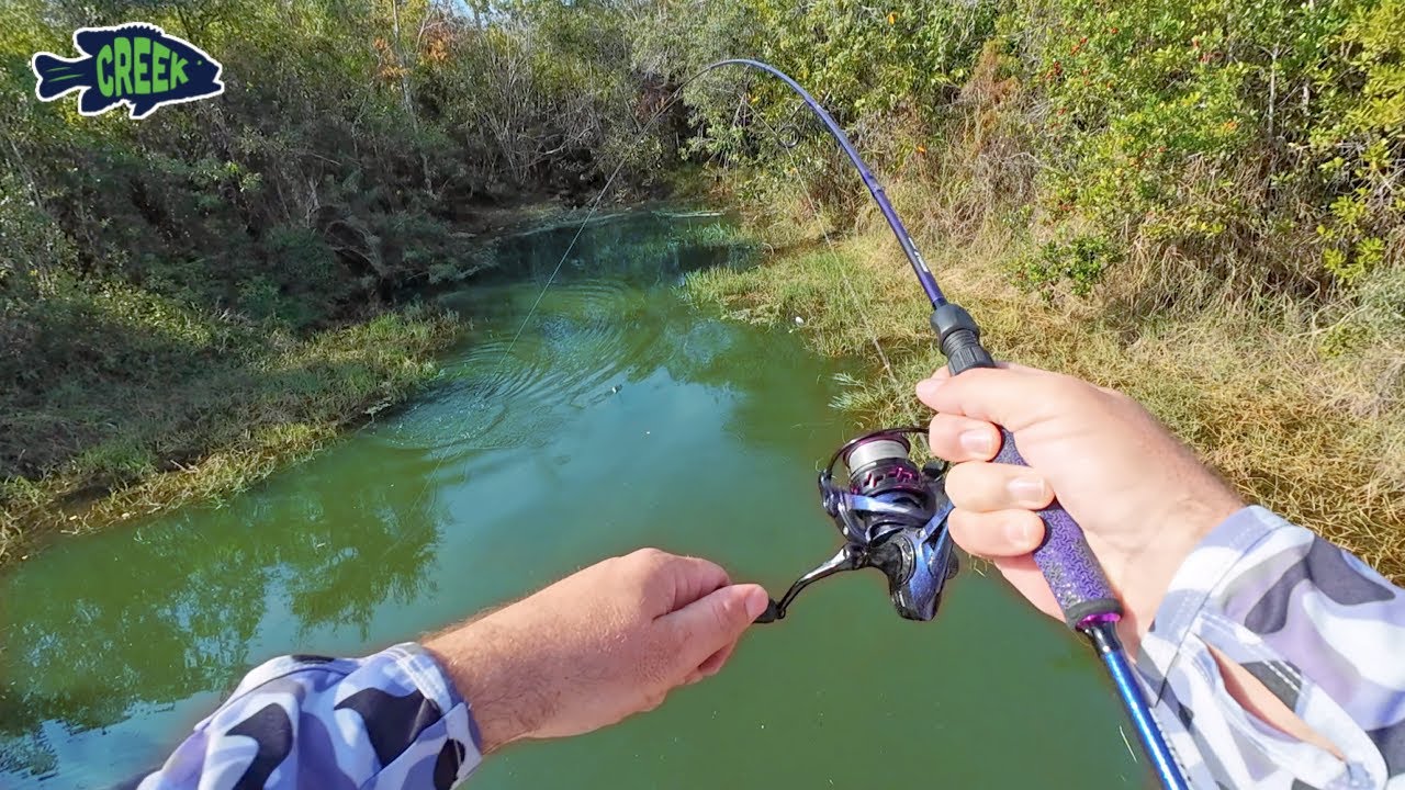 Catching Aquarium Fish in the Ditch