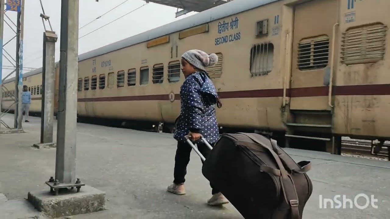 Train 🚂