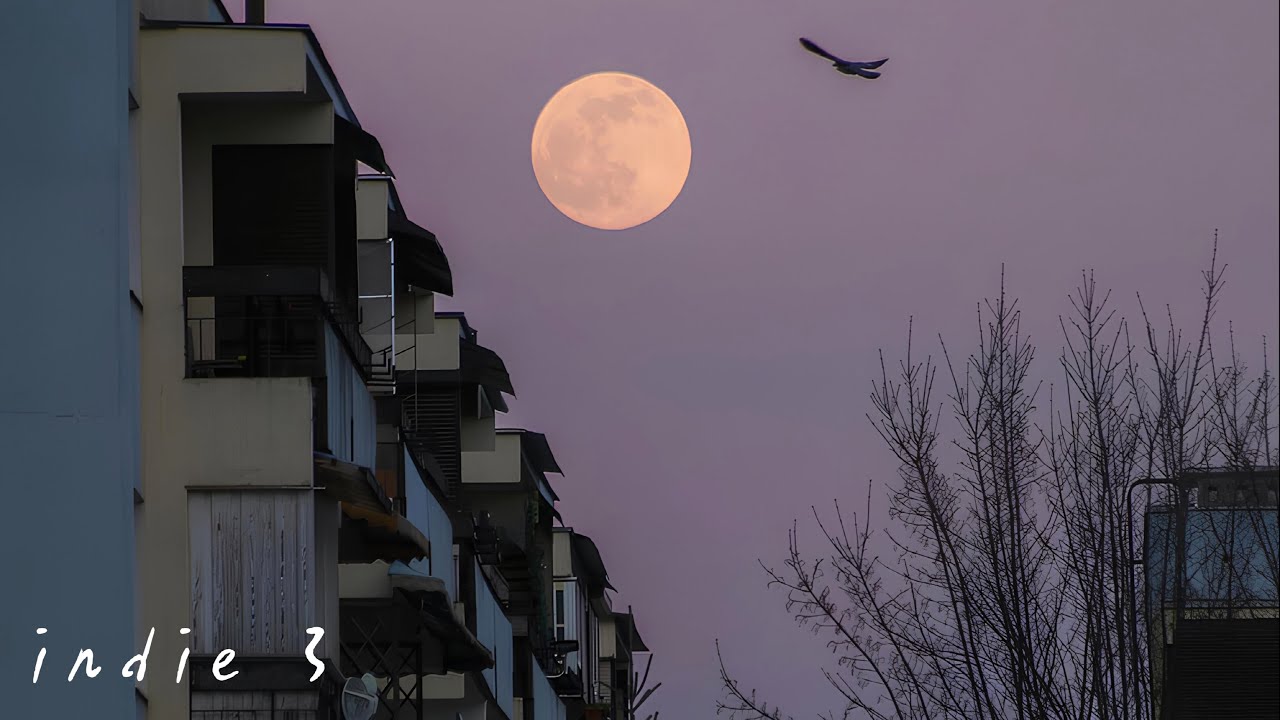 𝙋𝙇𝘼𝙔𝙇𝙄𝙎𝙏 집으로 가는 길🌙 지친 하루 끝엔 K-Indie 플리 | Mood: heading home